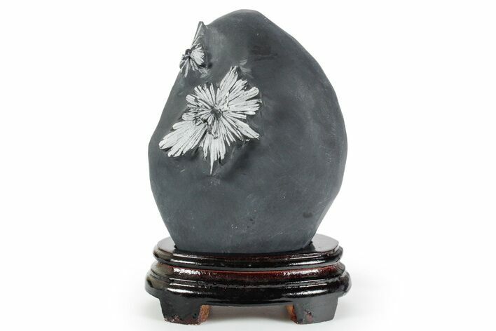 Polished Chrysanthemum Stone in Wood Base - China #352108